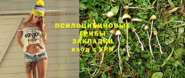 индика Алексин