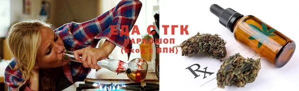 индика Алексин