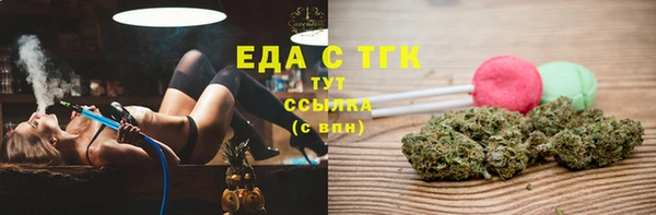 индика Алексин