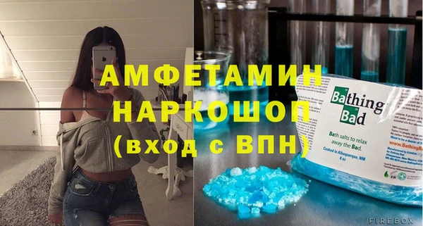 индика Алексин