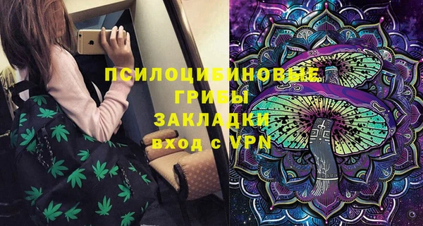 прущие грибы Алзамай