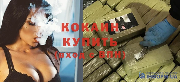 молекула духа Пересвет