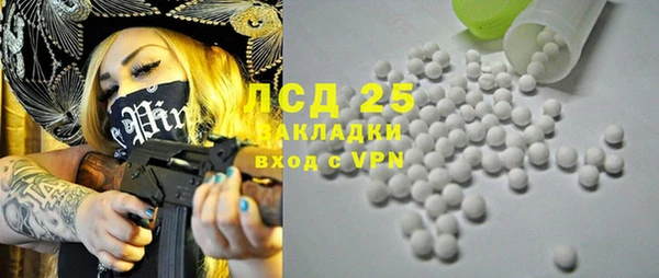 прущие грибы Алзамай