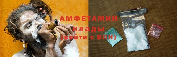 индика Алексин