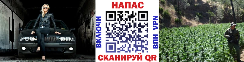 Марихуана THC 21%  где купить   гидра онион  Звенигово 